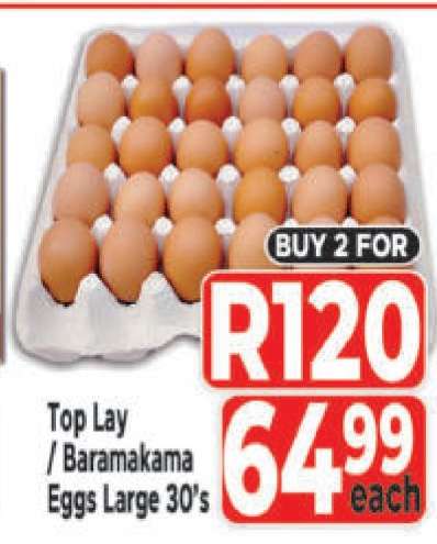Top Lay / Baramakama Eggs Large 30's