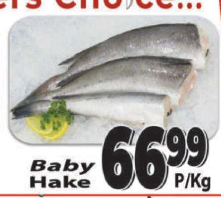 Baby Hake