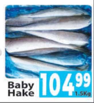 Baby Hake