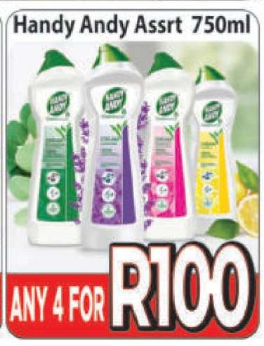 Handy Andy Assrt 750ml