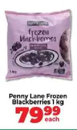 Penny Lane Frozen Blackberries 1 kg