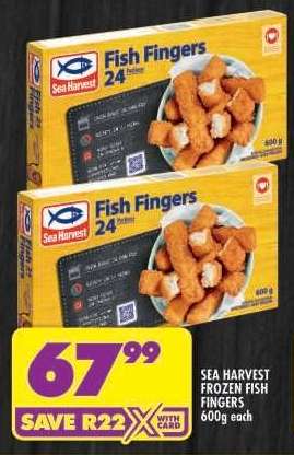 Sea Harvest Frozen Fish Fingers