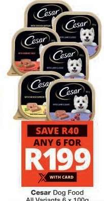 Cesar Dog Food