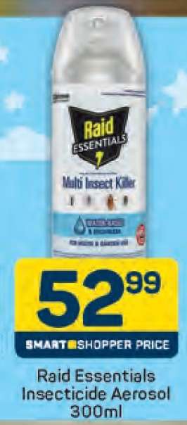 Raid Essentials Insecticide Aerosol 300ml