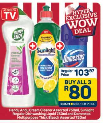 Handy Andy, Sunlight, Domestos Bundle