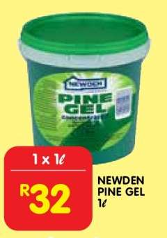 NEWDEN PINE GEL
