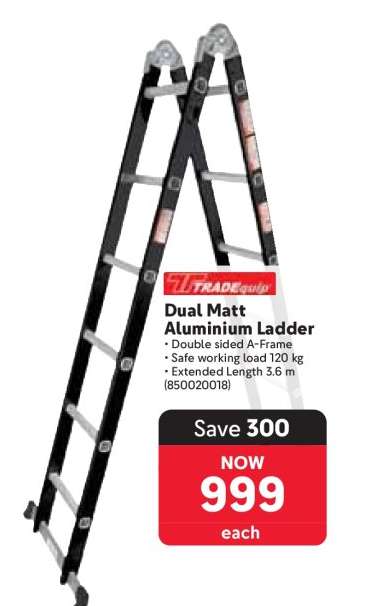 Dual Matt Aluminium Ladder