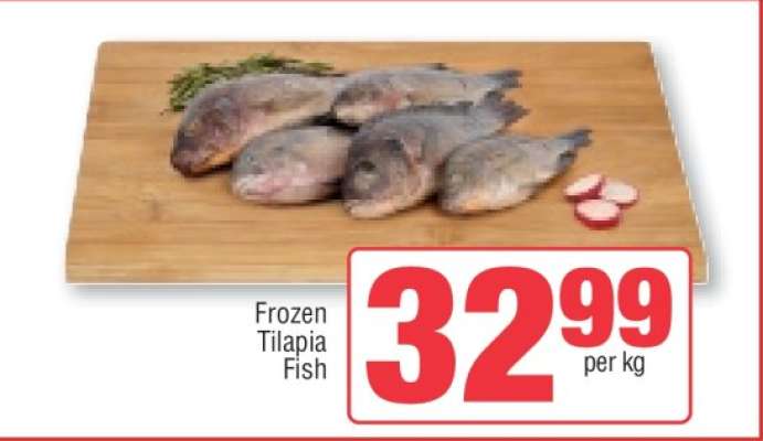 Frozen Tilapia Fish
