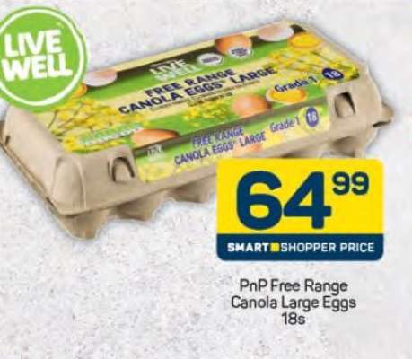 PnP Free Range Canola Large Eggs 18s