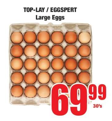 TOP-LAY / EGGSpert Large Eggs