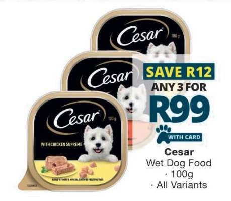 Cesar Wet Dog Food