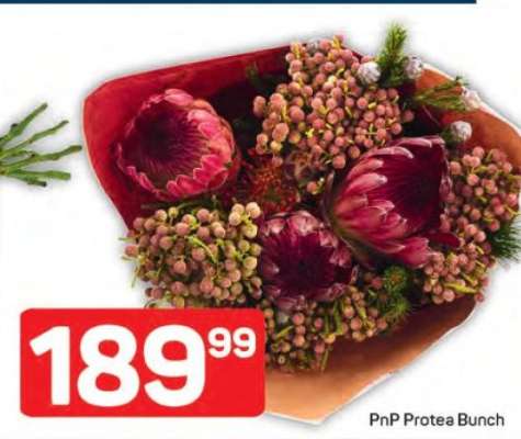 PnP Protea Bunch