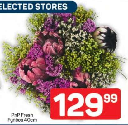 PnP Fresh Fynbos 40cm