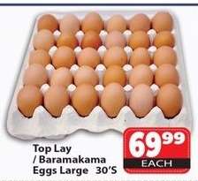 Top Lay / Baramakama Eggs Large 30's