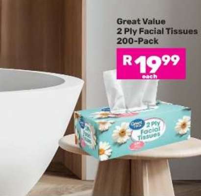 Great Value 2 Ply Facial Tissues 200-Pack