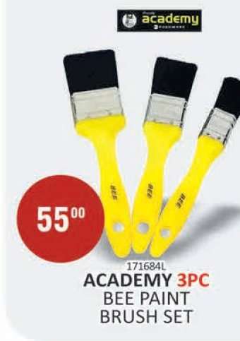 ACADEMY 3pc Bee Paint Brush Set