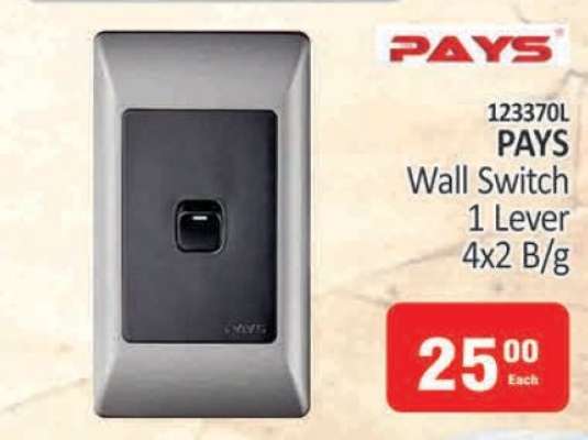 PAYS Wall Switch