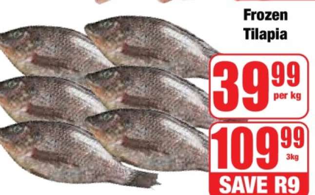 Frozen Tilapia