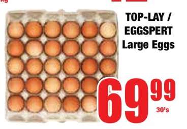 TOP-LAY / EGGSpert Large Eggs