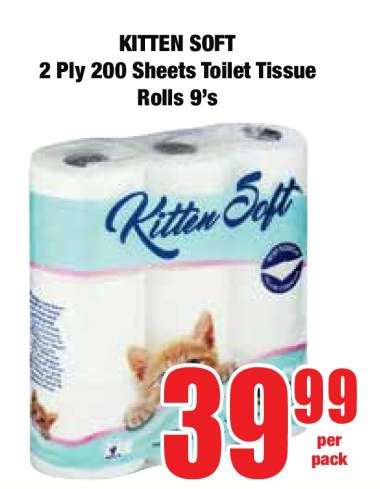 KITTEN SOFT