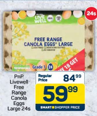 PnP Livewell Free Range Canola Eggs Large 24s