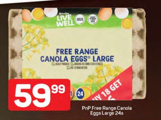 PnP Free Range Canola Eggs Large 24s