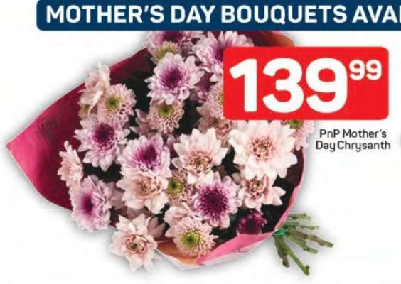 PnP Mother's Day Chrysanth