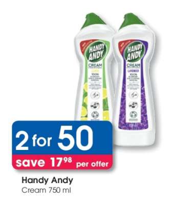 HANDY ANDY