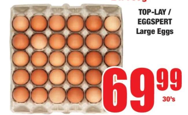 TOP-LAY / EGGSpert Large Eggs