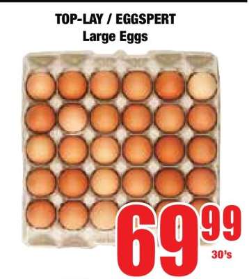 TOP-LAY / EGGSpert Large Eggs
