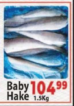 Baby Hake