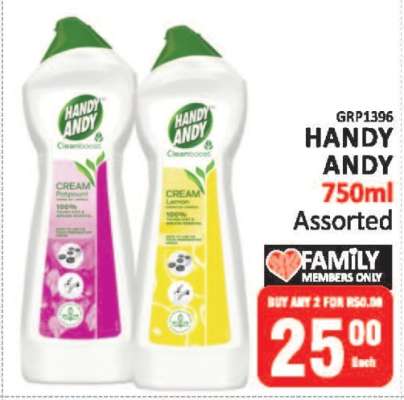 Handy Andy 750ml Assorted