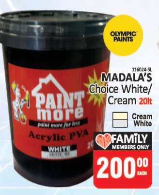 PAINT more Acrylic PVA