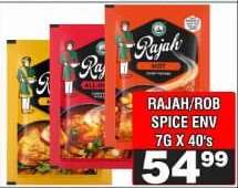 RAJAH/ROB SPICE ENV