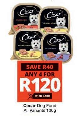 Cesar Dog Food