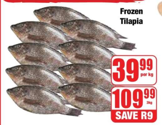 Frozen Tilapia