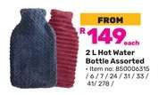 2 L Hot Water Bottle Assorted