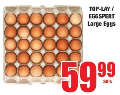 TOP-LAY / EGGSpert Large Eggs