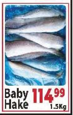 Baby Hake