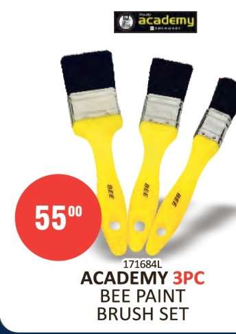 ACADEMY 3pc Bee Paint Brush Set