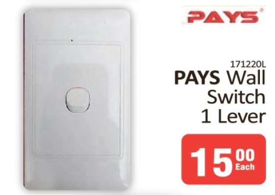 PAYS Wall Switch 1 Lever