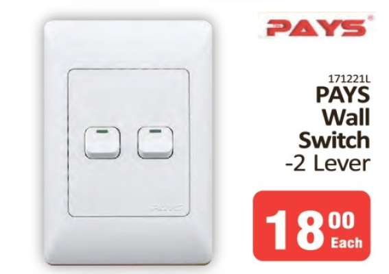 PAYS Wall Switch