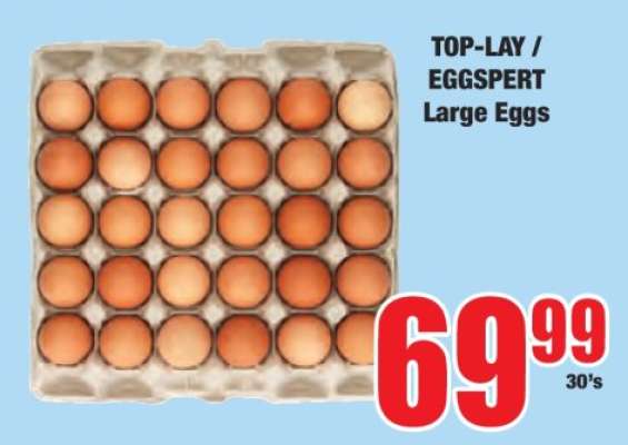 TOP-LAY / EGGSpert Large Eggs