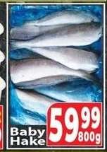 Baby Hake