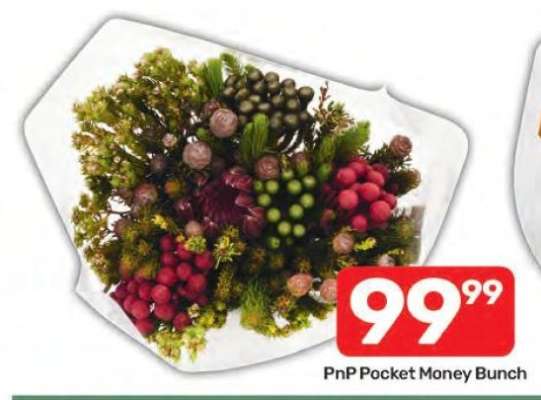 PnP Pocket Money Bunch