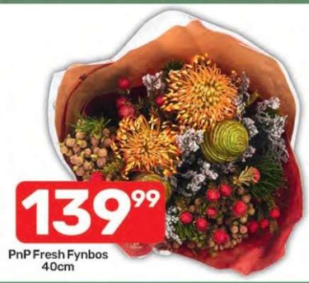 PnP Fresh Fynbos 40cm