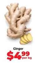 Ginger