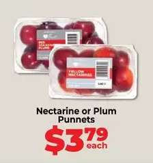Nectarine or Plum Punnets