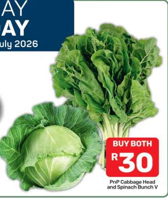 PnP Cabbage Head and Spinach Bunch V