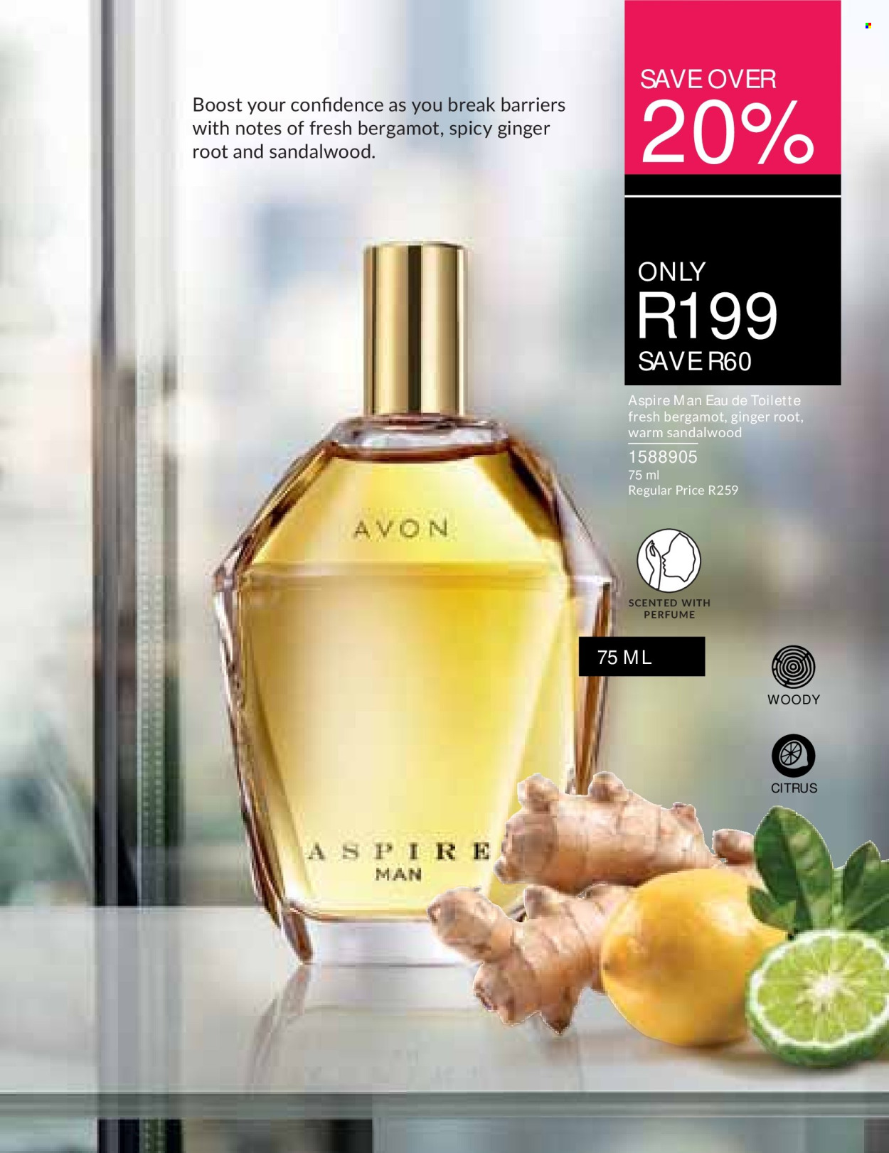 Avon specials - 01/08/2026 - 31/08/2026. Page 79